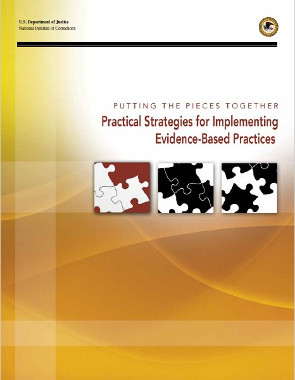 Practical strategies for implementing evidence based practices front page