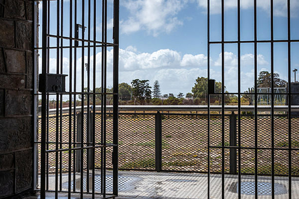 Looking outside through an open metal gate